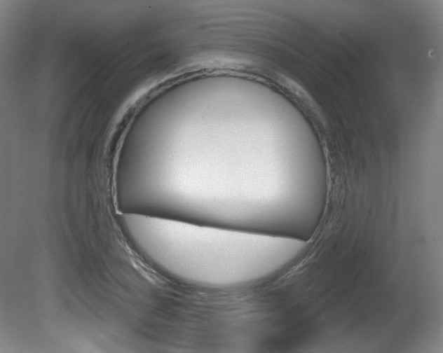 X0000080741027200612150926