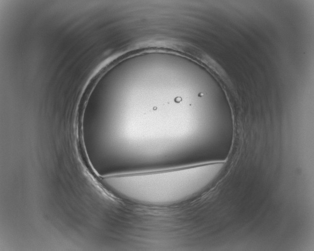 X0000080741028200612150927
