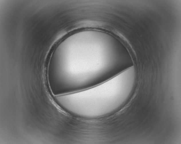 X0000080741029200612150927