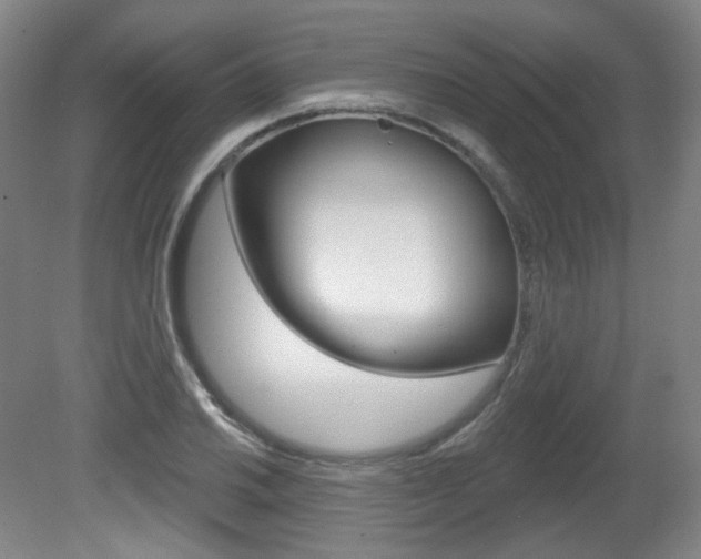 X0000080741030200612150927