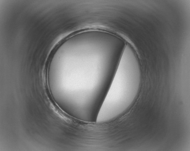 X0000080741032200612150927