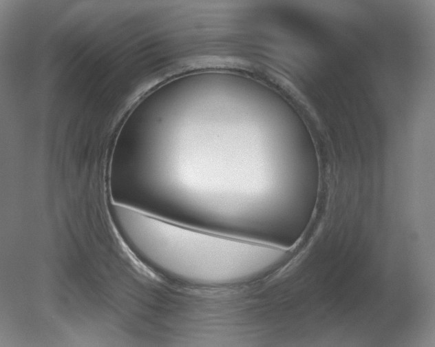 X0000080741033200612150927