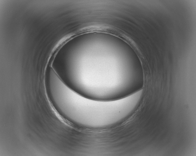 X0000080741034200612150927