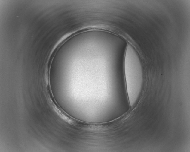 X0000080741036200612150927