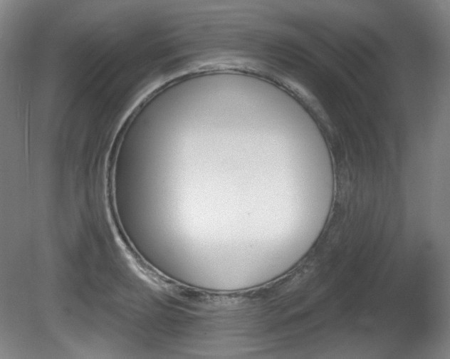 X0000080741039200612150927
