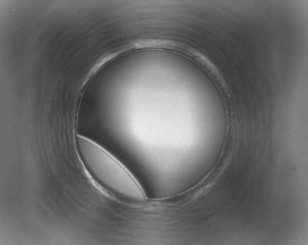 X0000080741041200612150927