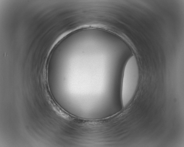 X0000080741044200612150927