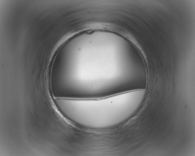 X0000080741045200612150927