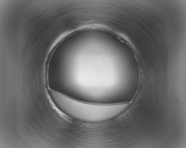 X0000080741046200612150927