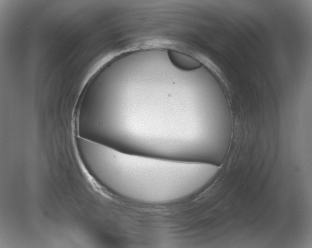 X0000080741047200612150927