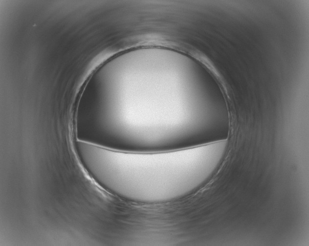 X0000080741048200612150927