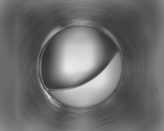 X0000080741050200612150927
