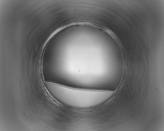 X0000080741052200612150927