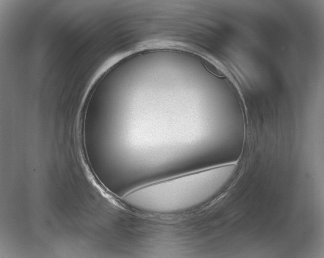X0000080741053200612150927
