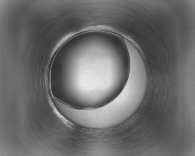 X0000080741054200612150927