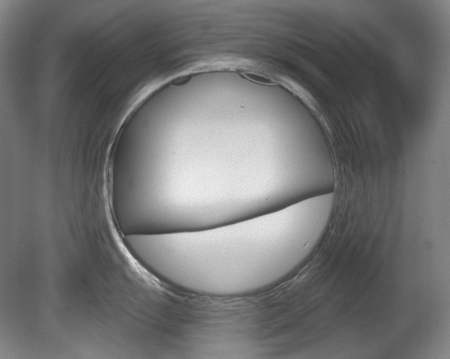 X0000080741055200612150927