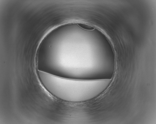 X0000080741056200612150927