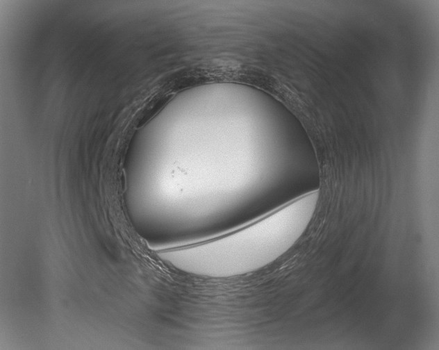 X0000080741057200612150926
