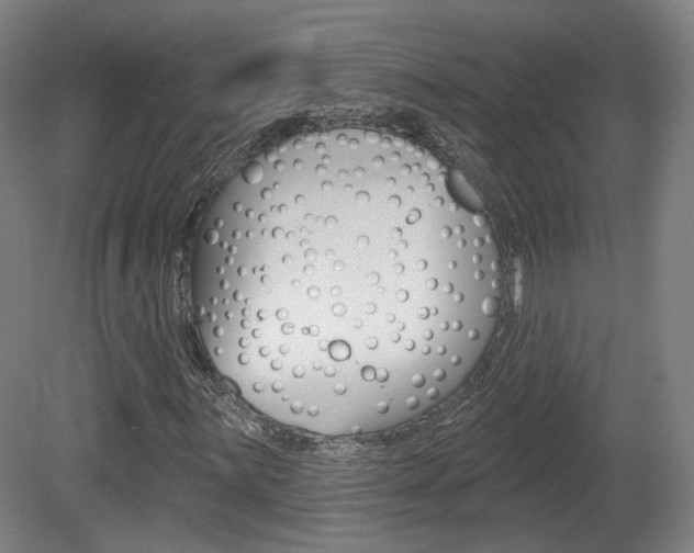 X0000080741059200612150926
