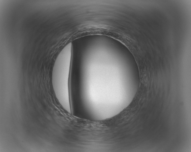 X0000080741061200612150926