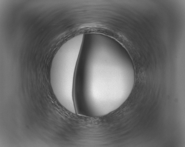 X0000080741062200612150926
