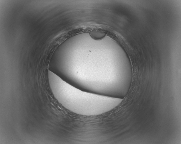 X0000080741063200612150926