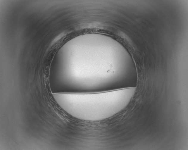 X0000080741064200612150926