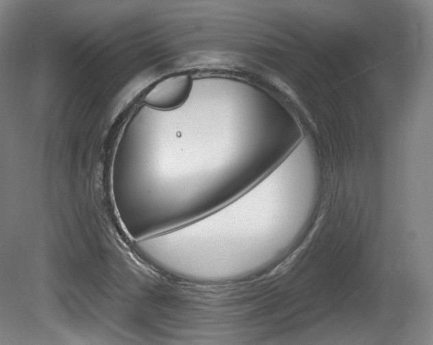 X0000080741066200612150926
