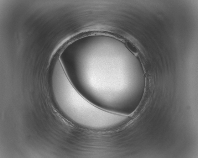 X0000080741069200612150926