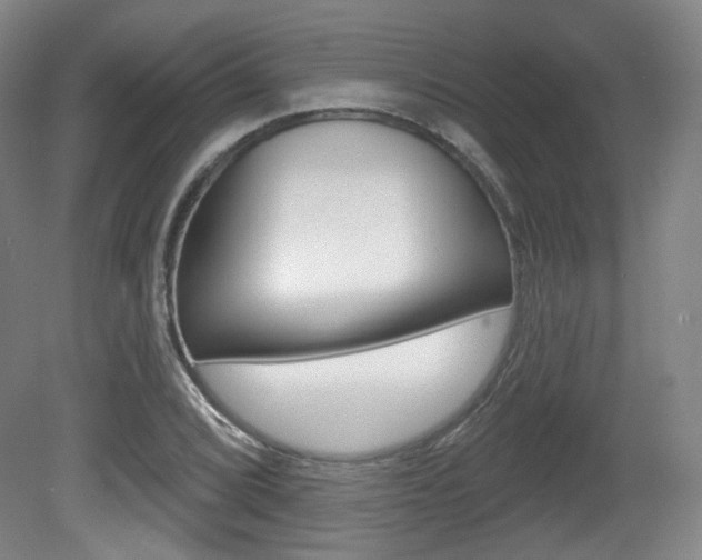 X0000080741072200612150926