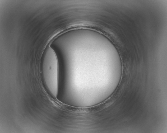 X0000080741073200612150926