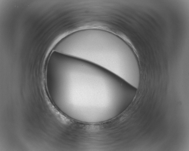 X0000080741088200612150926