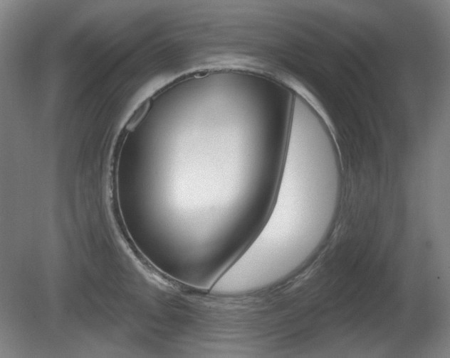 X0000080741093200612150926