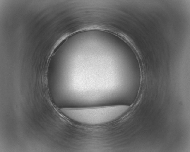 X0000080741097200612150926