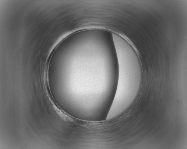 X0000080741101200612150925