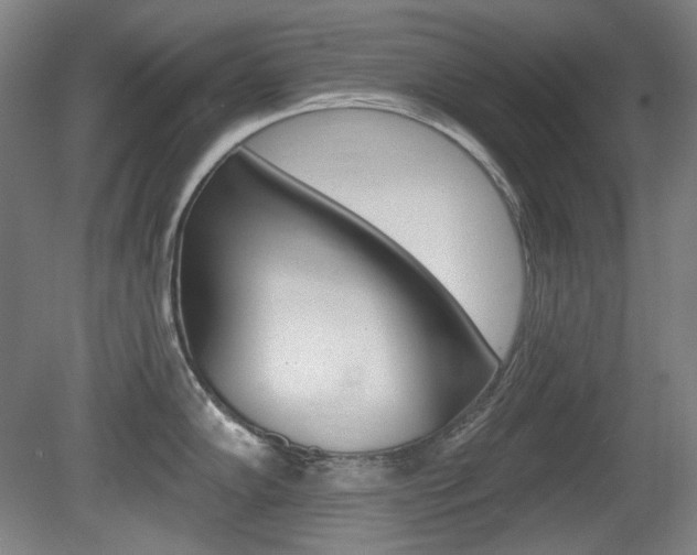 X0000080741102200612150925