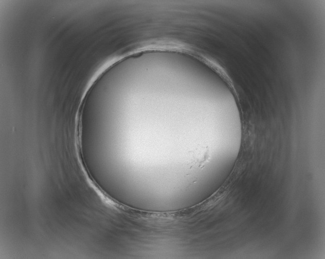 X0000080741103200612150925