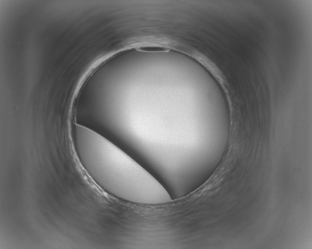 X0000080741104200612150925