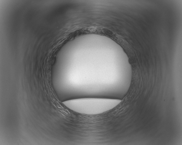 X0000080741105200612150925