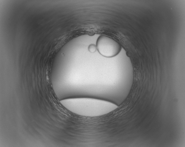 X0000080741106200612150925