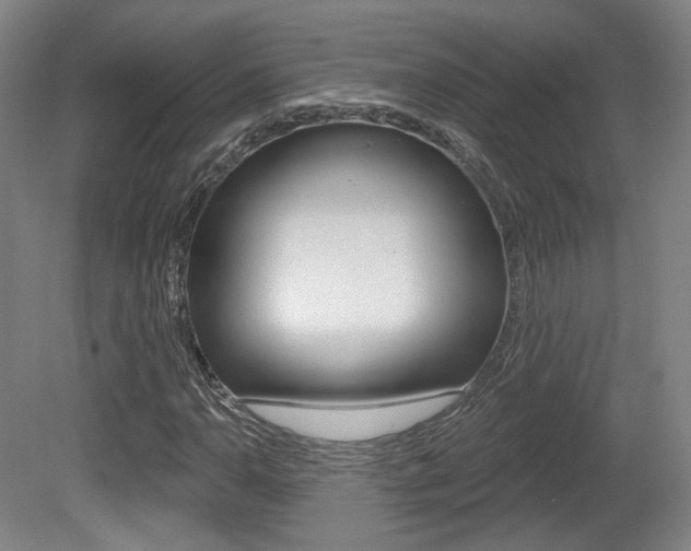 X0000080741110200612150925
