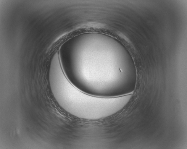 X0000080741112200612150925