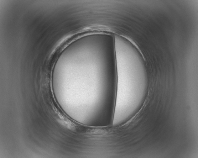 X0000080741115200612150925