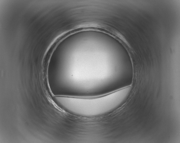 X0000080741116200612150925