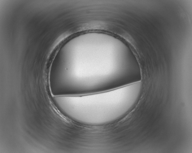X0000080741119200612150925