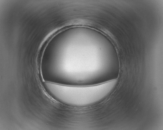 X0000080741120200612150925