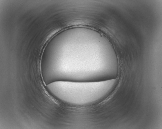 X0000080741121200612150925