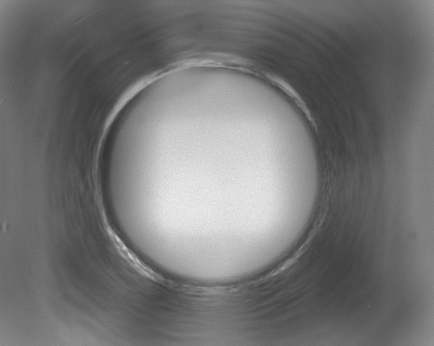 X0000080741122200612150925