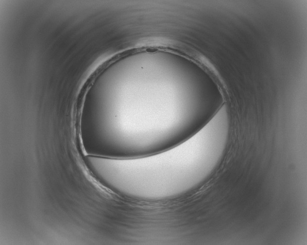 X0000080741124200612150925