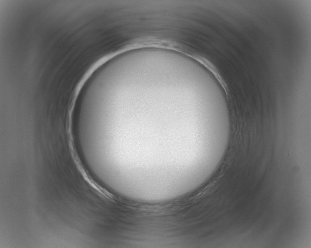 X0000080741128200612150925
